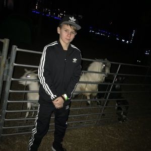 Meet your Posher, Carter